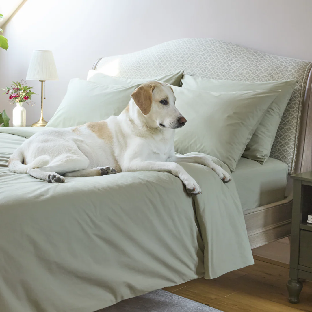Classic Percale Fitted Sheet - Clearance - Image 24