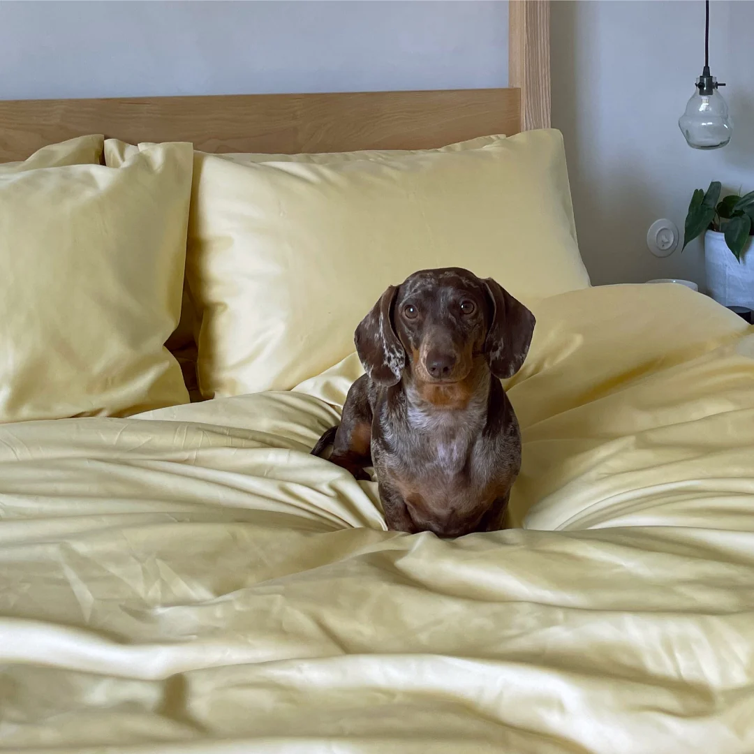 Luxe Sateen Fitted Sheet - Clearance - Image 39